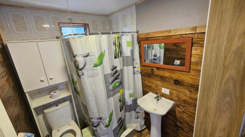 a bathroom with a shower and a toilet and a sink at Las palmeras de Colbún in Colbún