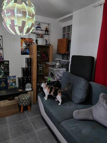 een kat op een bank in een woonkamer bij Appartement duplex indépendant de 46m2 in Nanterre