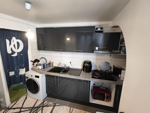 een keuken met een wastafel en een wasmachine bij Appartement duplex indépendant de 46m2 in Nanterre