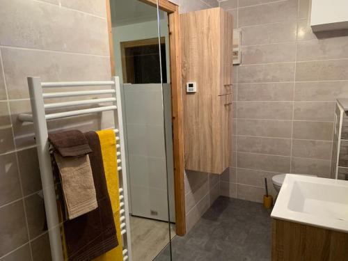 a bathroom with a shower and a toilet and a sink at Appartement 2/4 personnes in Bussang