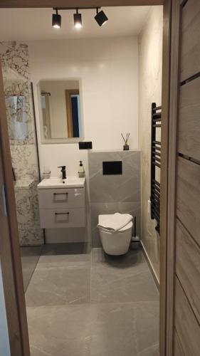 La salle de bains est pourvue de toilettes et d'un lavabo. dans l'établissement Apartament Między górą a rzeką Trybsz, à Trybsz
