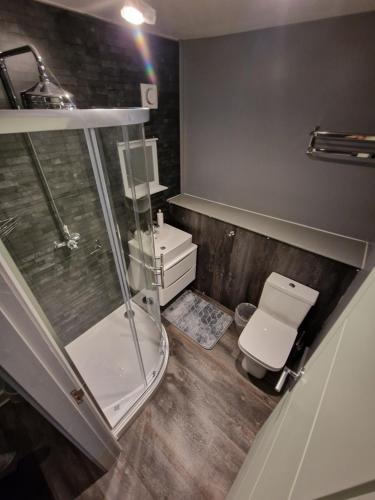 a bathroom with a glass shower and a toilet at Harlech House in Harlech