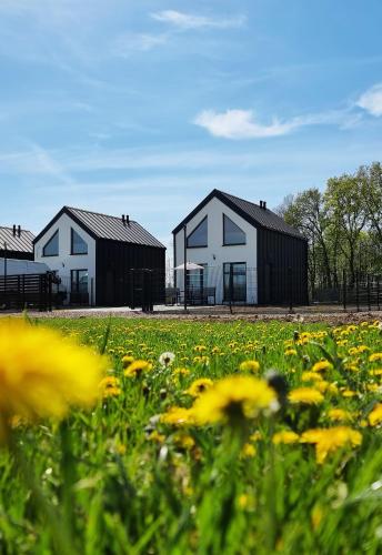 ZATOR Domki INTERSTYL, Energylandia