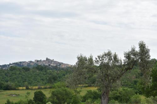 Gallery image of VULCINEA in Poggio Rocco in Manciano