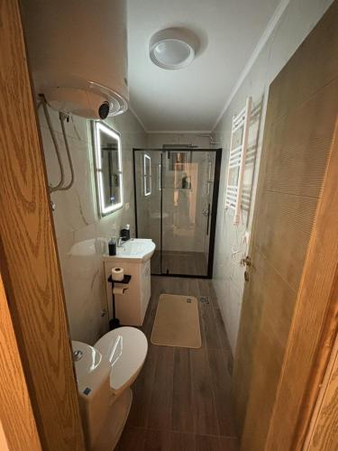 een badkamer met een toilet, een wastafel en een douche bij Apartman Centar in Kuršumlija