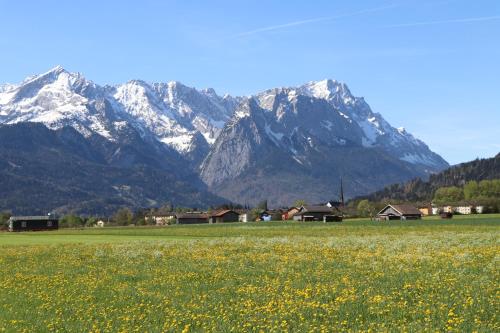 a field of flowers with mountains in the background at Zur alten Schmiede in Ettal
