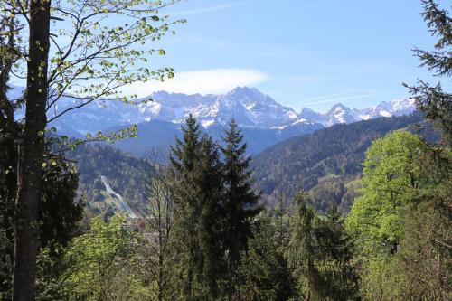 a view of the mountains from the forest at Zur alten Schmiede in Ettal