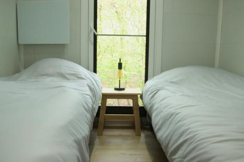two beds in a room with a table and a window at Chalet Lodge in Drijber
