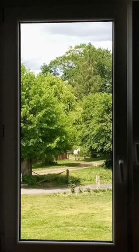 a window view of a field with a horse in the background at Studniska Country Estate in Studniska