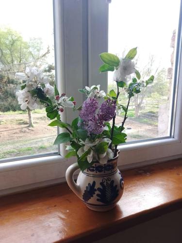 a vase filled with flowers sitting on a window sill at Studniska Country Estate in Studniska