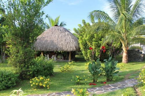 Zahrada ubytování Cabanas Los Colibris Hotel Ecolodge