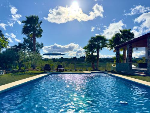 una piscina en un patio con palmeras en Finca Macías, en Cártama