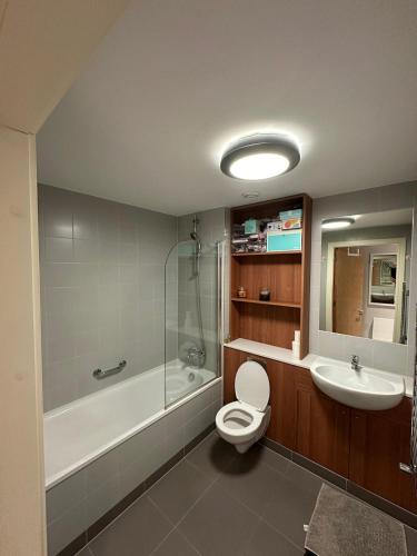 a bathroom with a toilet and a tub and a sink at Double Room Homestay in Dublin