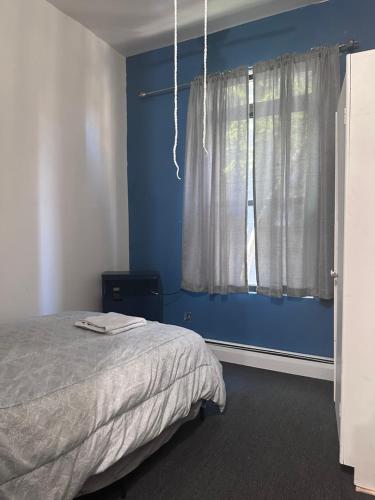 um quarto com uma cama e uma parede azul em Macaw Guest House em Nova York