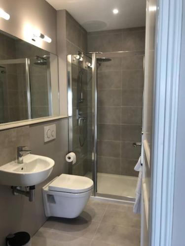 une salle de bain avec une douche, des toilettes et un lavabo dans l'établissement Domaine de la Durantie Duplex Vieux Chateau, à Castelnau-de-Montmiral