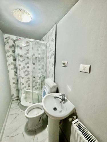 Bilik mandi di Serbian House