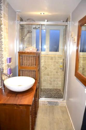 une salle de bain avec un lavabo et une douche dans l'établissement Maison charmante à La Flèche avec jardin et parking privé, à La Flèche