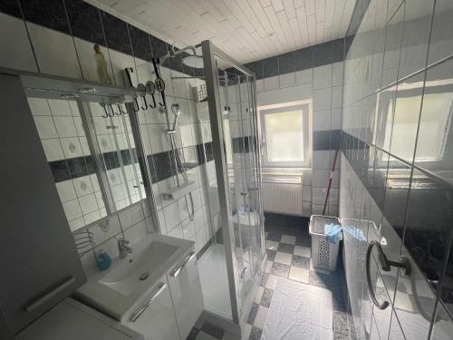ein Badezimmer mit Dusche, Waschbecken und Toilette in der Unterkunft Apartments Desire in Zaboric
