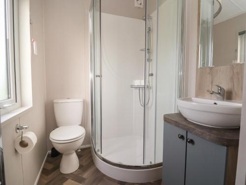 a bathroom with a shower and a toilet and a sink at Lodge 9 in St Asaph