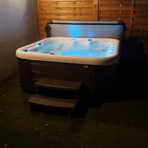 Gambar di galeri bagi Le Catalpa, gite avec piscine et jacuzi privés di Lestiou