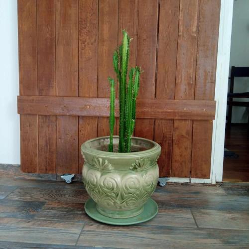 Hangulatos kis lakás a belvároshoz közel