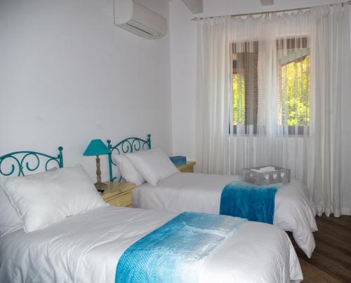 a bedroom with two beds and a window at Caledonia B&B in Mercato San Severino