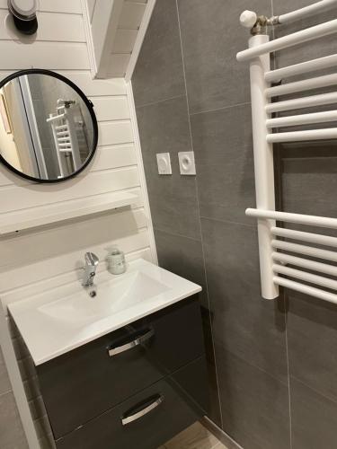 une salle de bain avec un lavabo et un miroir dans l'établissement Gîte o prés de la Loire classé 3 étoiles, à Ousson-sur-Loire