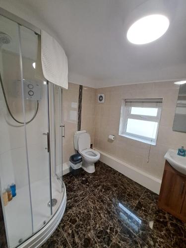 Un baño con inodoro, ducha y lavabo. en Apt in Stoneybatter D7, en Dublín