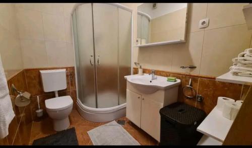 een badkamer met een douche, een toilet en een wastafel bij Beach apartment Perisic Podstrana in Podstrana