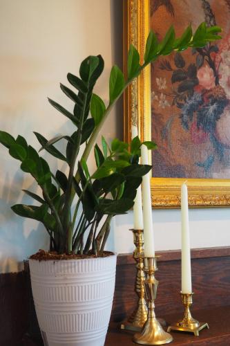 a plant in a white vase next to two candles at Firefly Hills in Beattyville