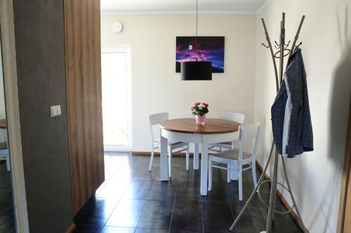 Televisor o centre d'entreteniment de Rohu apartment