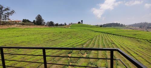 Φυσικό τοπίο κοντά σε αυτό το bed & breakfast