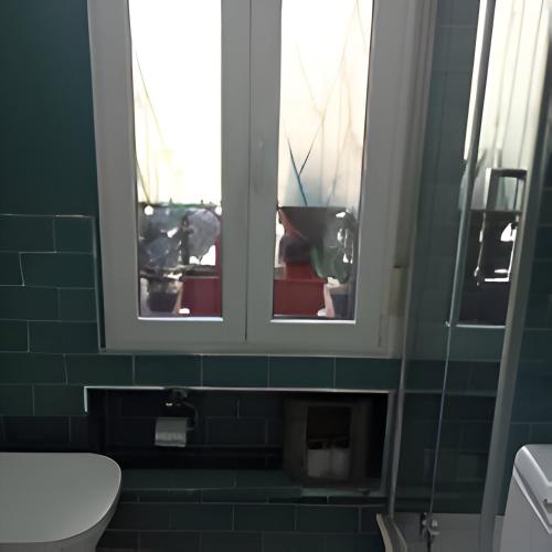 a bathroom with two windows with plants in them at Estudio independiente Forget Me Not in Getxo
