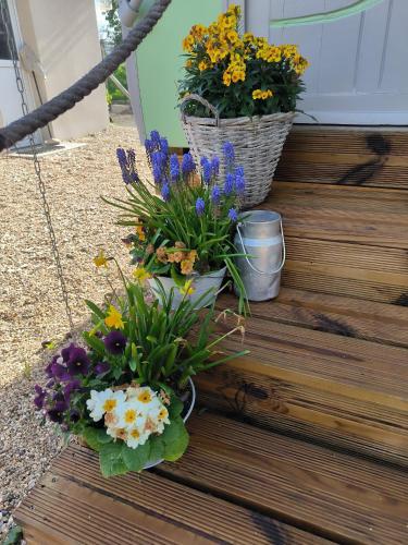 two buckets of flowers sitting on a porch at Roulotte insolite La Marivole in Azay-le-Ferron