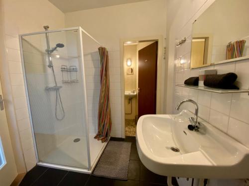 a bathroom with a shower and a sink at Zonnig appartement met terrasje in Groesbeek