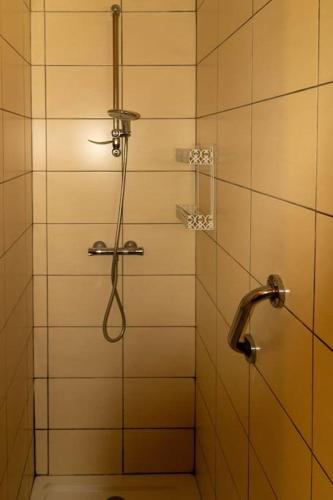 une douche avec pommeau de douche dans une salle de bain dans l'établissement L'hébergement du Faubourg Landrecies, à Landrecies