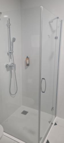 a shower with a glass door in a bathroom at Czarna Perła Apartamenty Czarna Góra 103 in Sienna