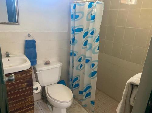 a bathroom with a toilet and a shower curtain at Casa pulpo in León