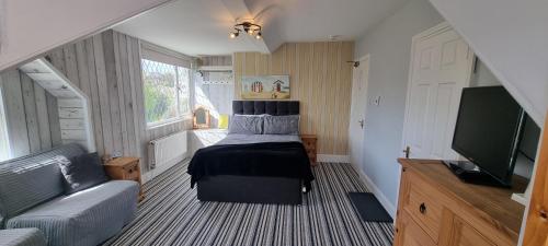 a bedroom with a bed and a tv and a couch at Rowcroft Lodge in Paignton