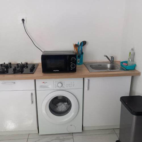 eine Küchentheke mit einer Waschmaschine und einem Waschbecken in der Unterkunft Chez loulou in Sainte-Marie