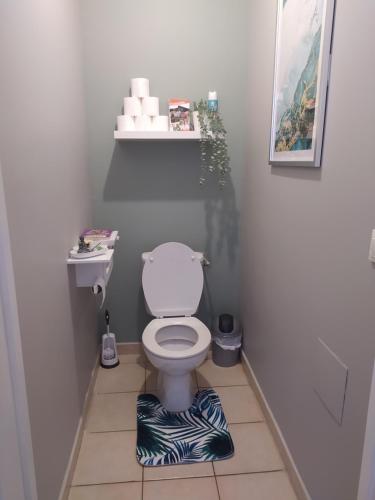 een badkamer met een toilet en een vloermat met zebraprint bij Appartement 3 chambres,îlot Pasteur-Auch in Auch
