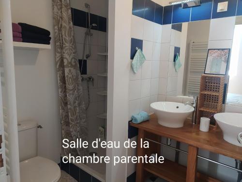 een badkamer met een wastafel en een douche bij Appartement 3 chambres,îlot Pasteur-Auch in Auch