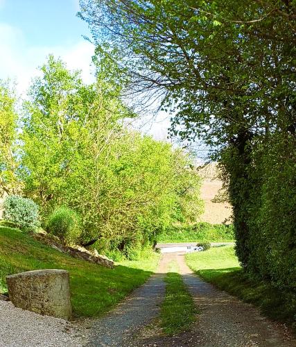 a dirt road through a park with trees and grass at Clos Baroanni - Gîte Terra in Terraube