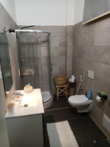a bathroom with a shower and a toilet and a sink at Studio Cozy in Sali Tapé