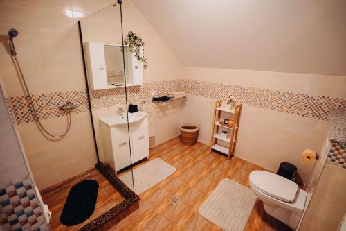 a bathroom with a shower and a toilet at NorthSpot Cabin in Horodnic de Sus