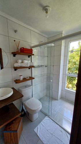 un bagno con wc e doccia in vetro di Villa's Serra - Casa aconchegante em meio a natureza a Caxias do Sul