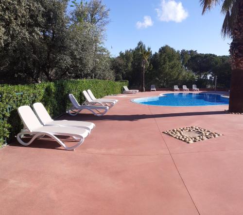 a row of lounge chairs next to a swimming pool at AGDE chalet sénérité piscine clim 6 PL in Agde