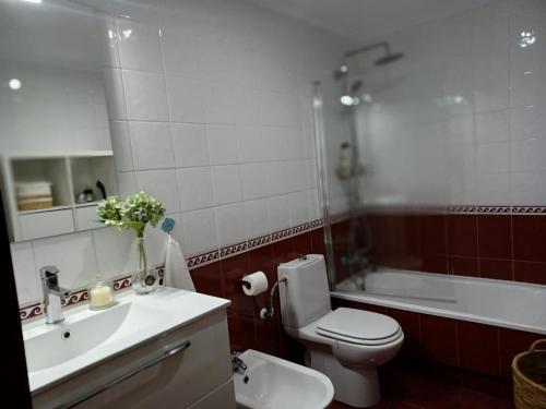 La salle de bains est pourvue d'un lavabo, de toilettes et d'une baignoire. dans l'établissement Piso con piscina próximo a Plaza de España, à Vigo