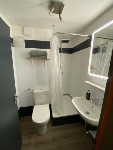 ein Bad mit einem WC und einem Waschbecken in der Unterkunft Wohnung Saarbrücken, City und Uni Nähe mit Parkplatz in Saarbrücken