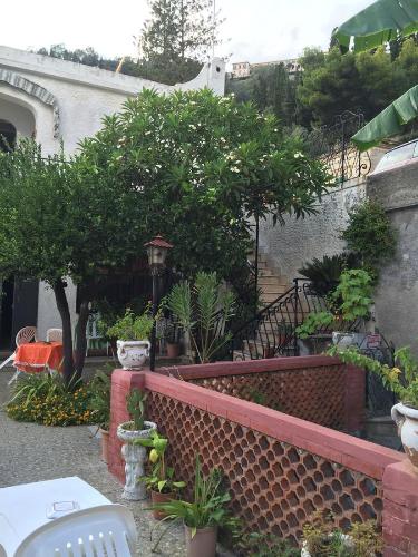 a garden with trees and plants on a wall at Holiday Home Gionny & Mary in Taormina